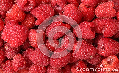 The bright, juicy and delightful berries of raspberry stationed oneself on a log, build in a transparent box Stock Photo
